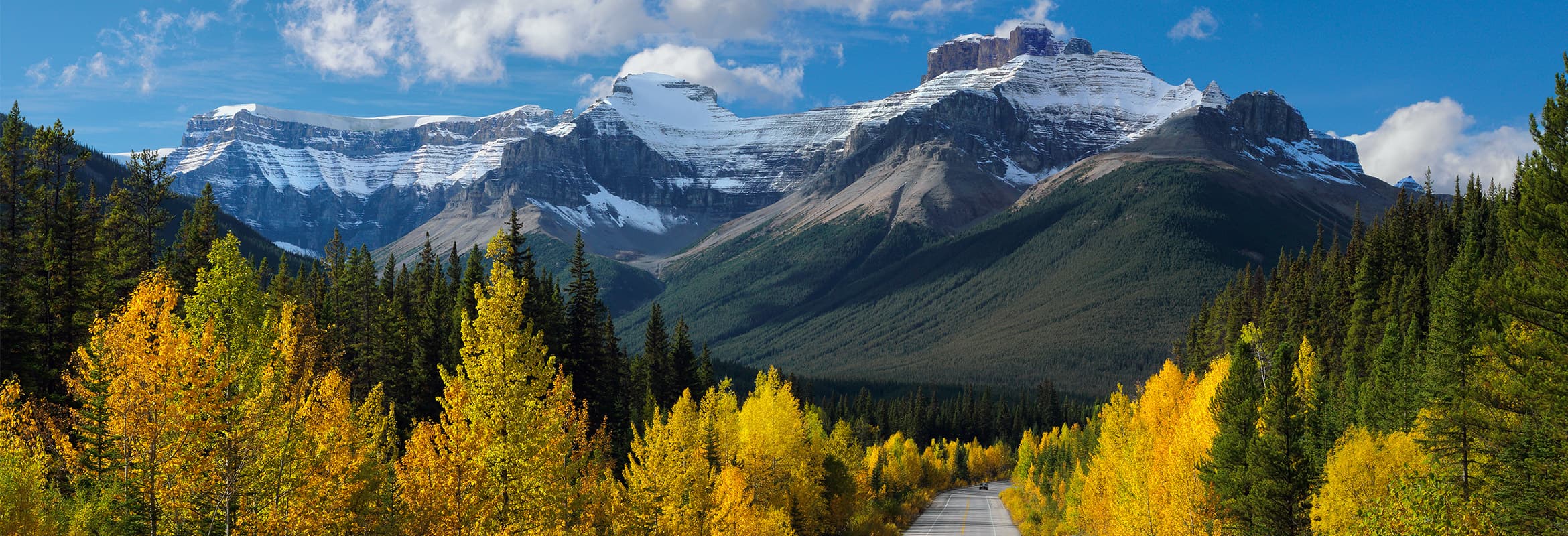 Image - Highway 93, Icefields Parkway in Banff National Park